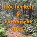 chronische stress (1) Hoe herken je chronische stress